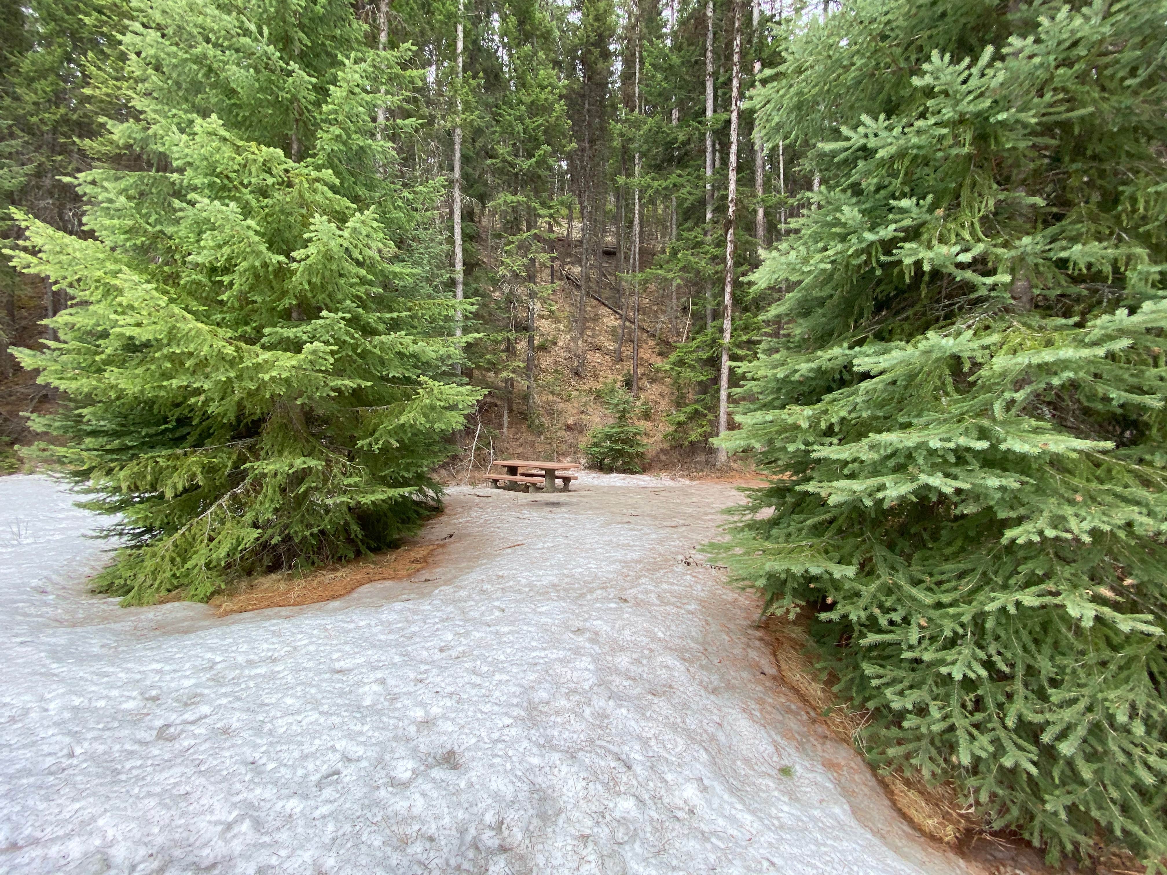 Camper-submitted photo at Lolo National Forest Earl Tennant Campground near Florence, MT