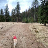 Review photo of Lolo National Forest Earl Tennant Campground by Juliana H., April 15, 2021