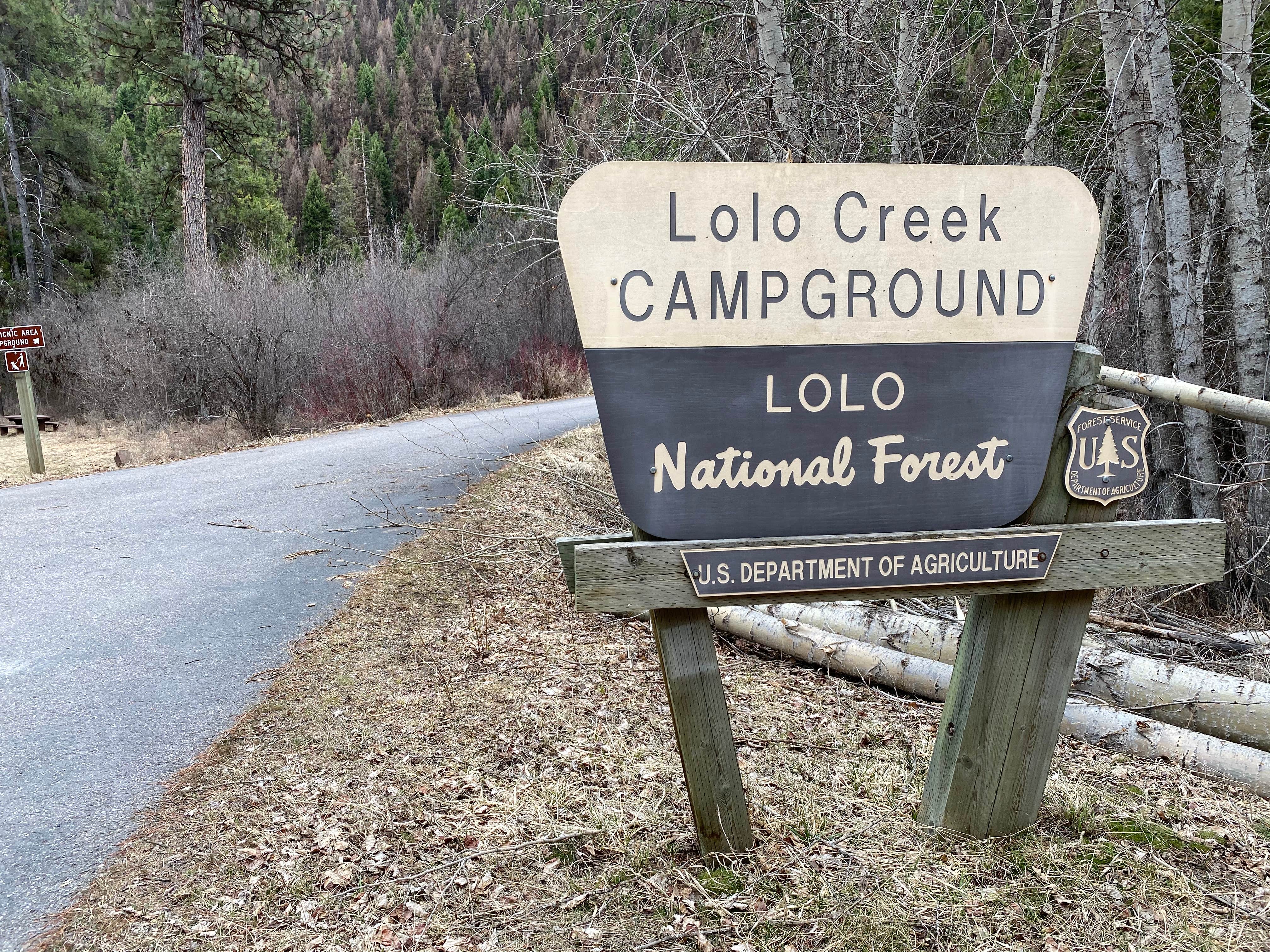 Camper submitted image from Lolo Creek Campground - 1