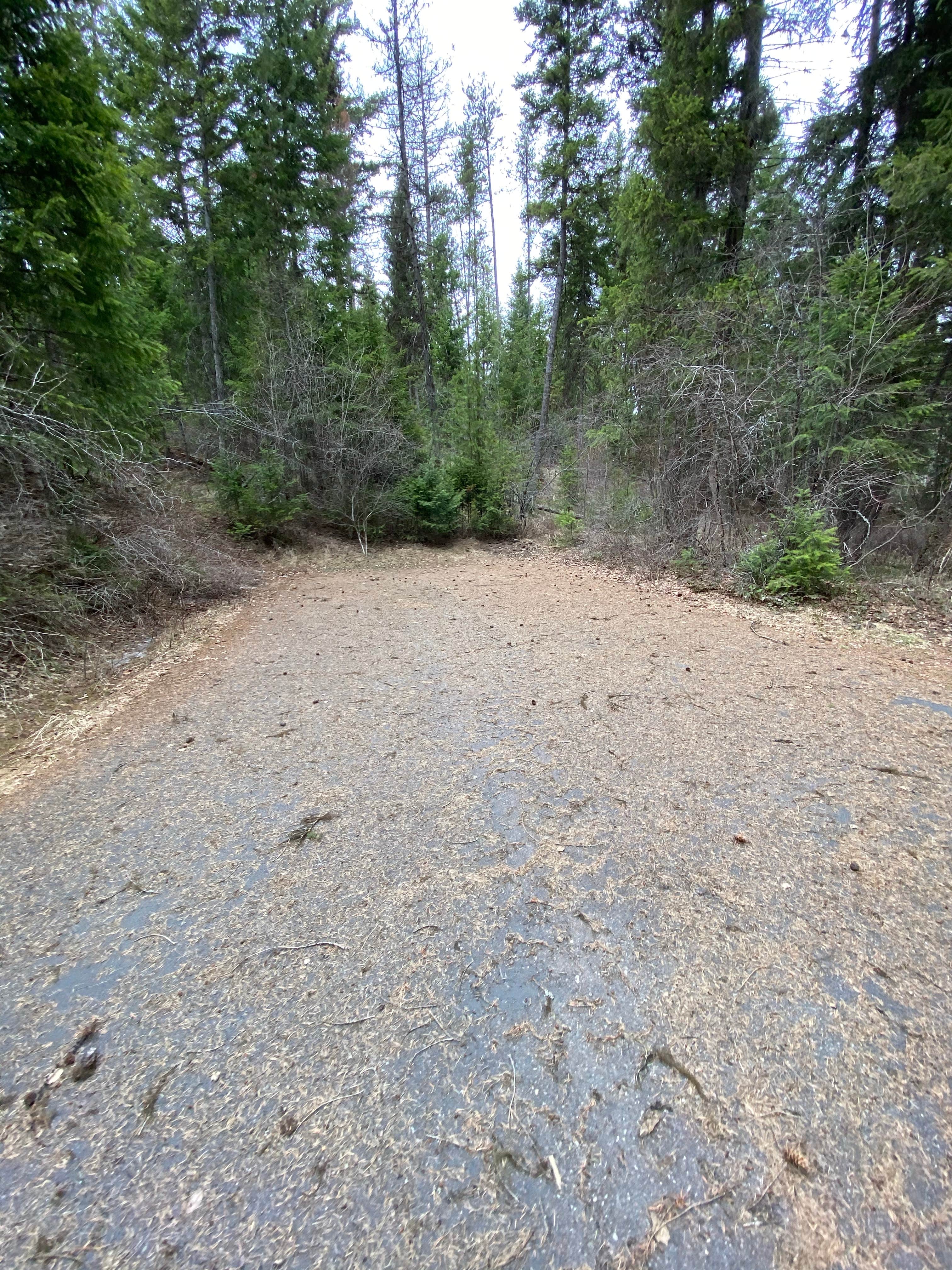 Camper-submitted photo at Lolo Creek Campground near Lolo, MT
