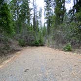 Review photo of Lolo Creek Campground by Juliana H., April 15, 2021