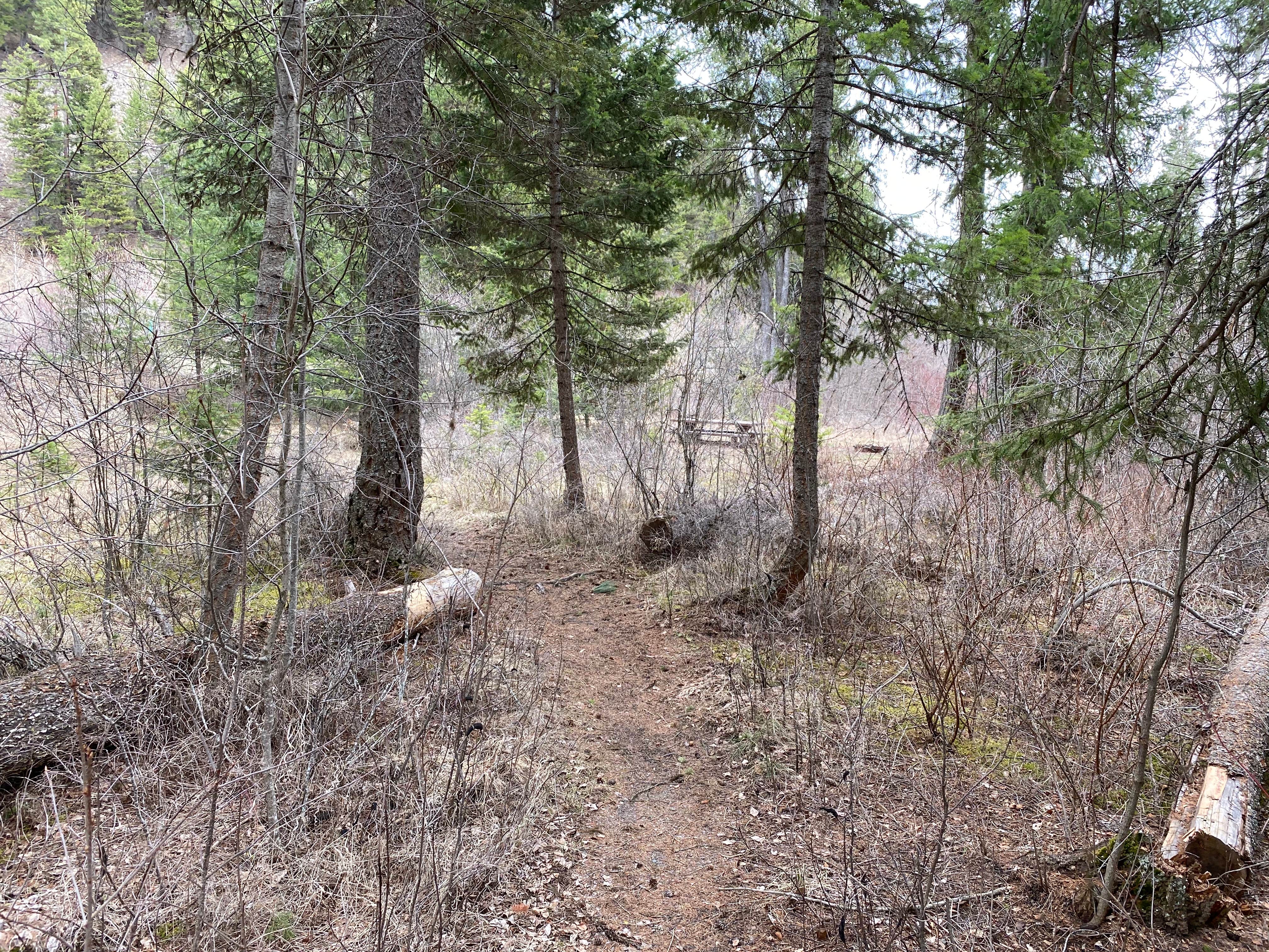 Camper-submitted photo at Lolo Creek Campground near Lolo, MT