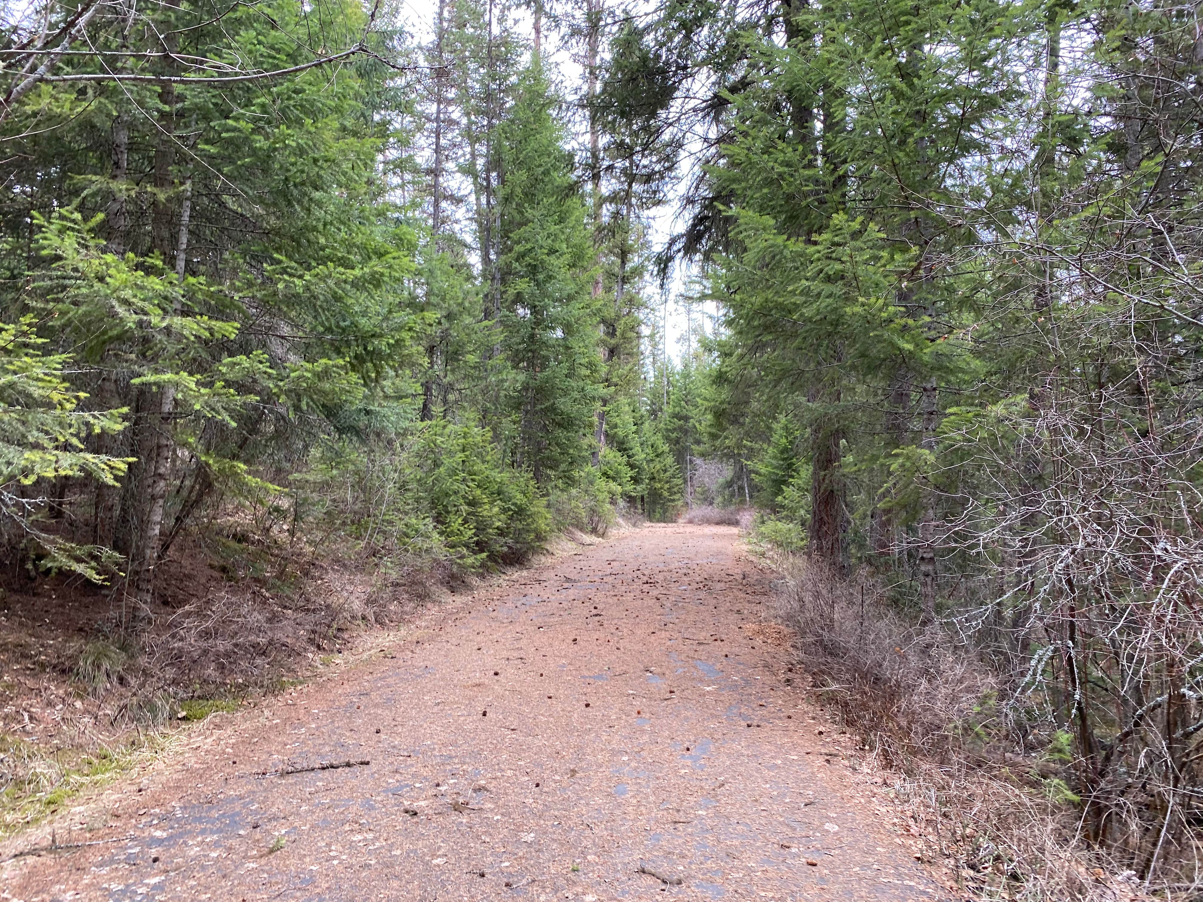 Camper-submitted photo at Lolo Creek Campground near Lolo, MT