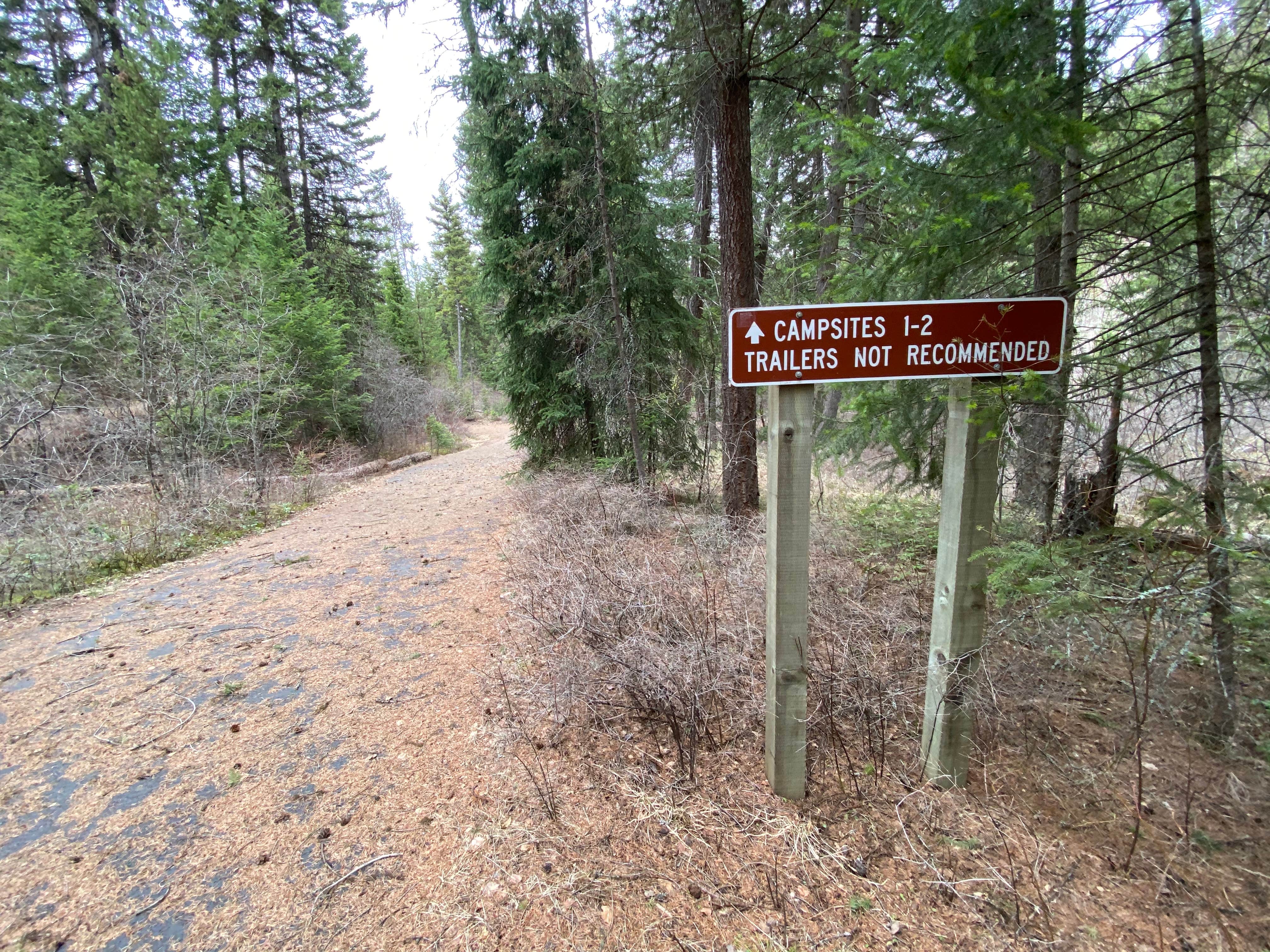 Camper submitted image from Lolo Creek Campground - 5