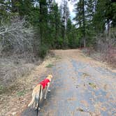 Review photo of Lolo Creek Campground by Juliana H., April 15, 2021