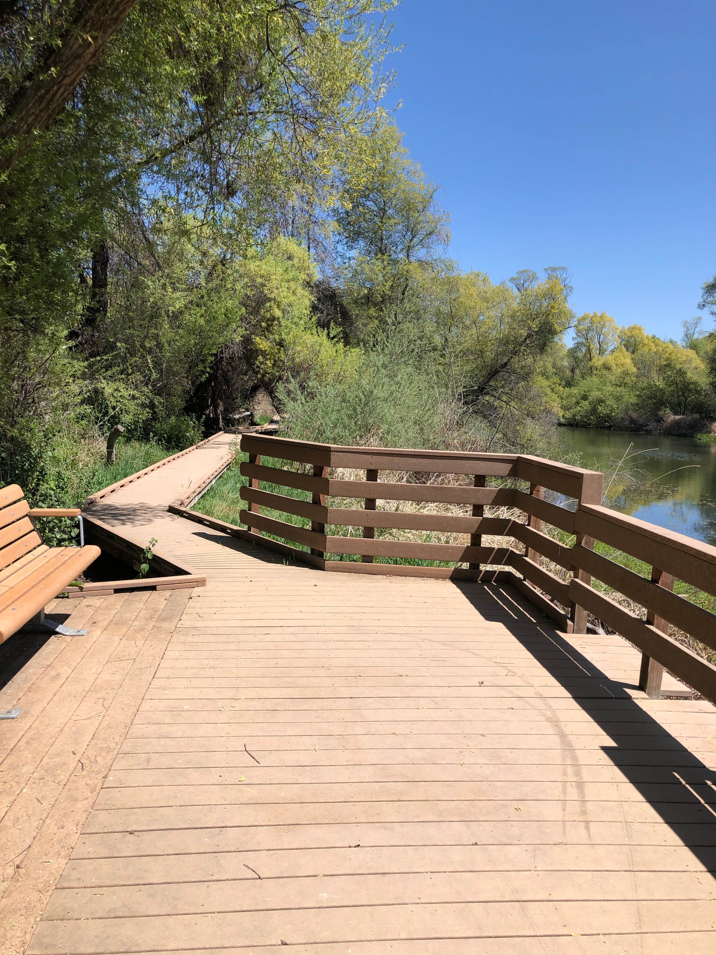 Camper submitted image from Kelsey Creek Campground — Clear Lake State Park - 5