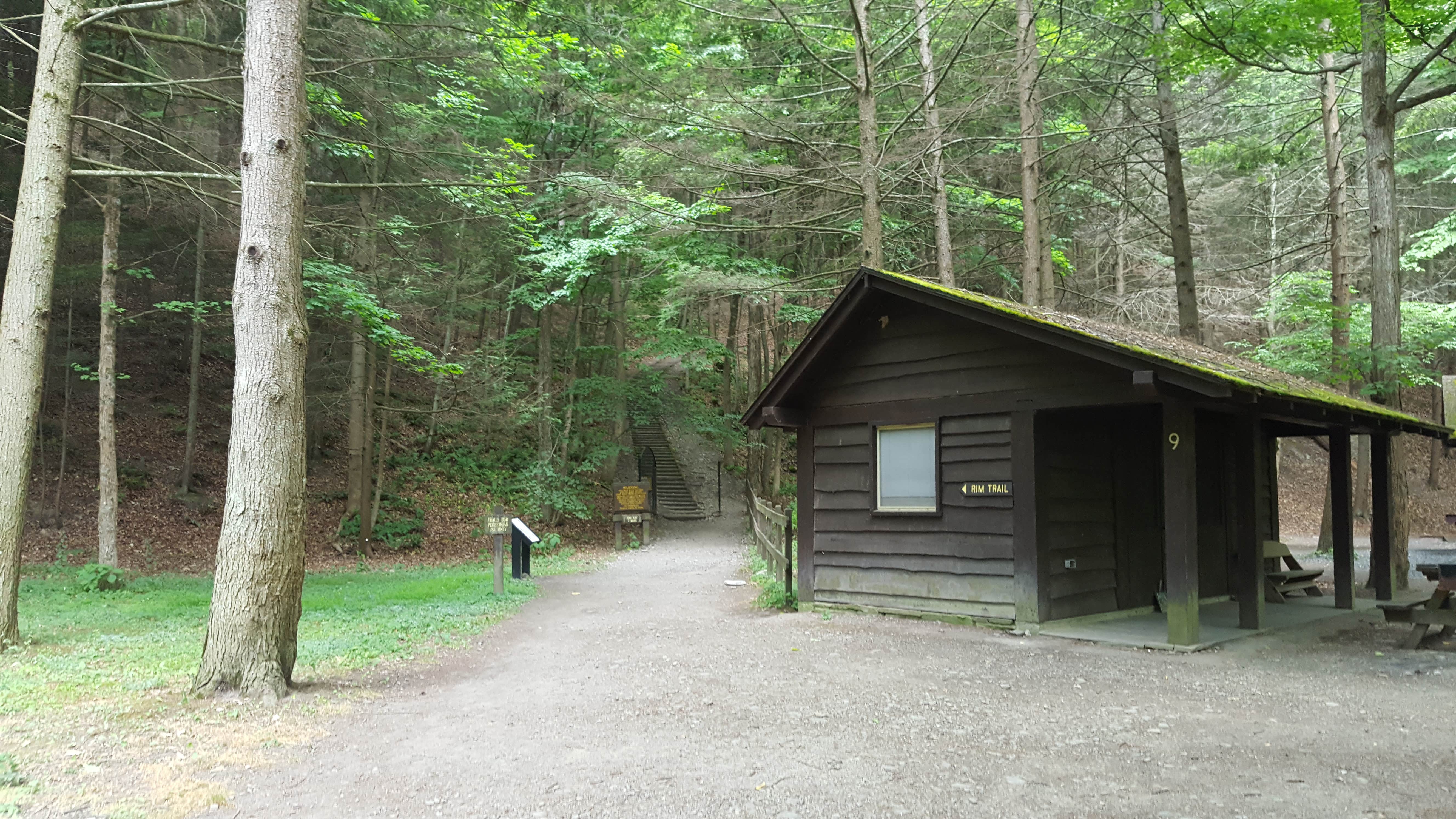Michelle  C.'s photo of a cabin at Robert H. Treman State Park Campground near Alpine, NY