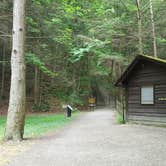 Review photo of Robert H. Treman State Park Campground by Michelle  C., July 14, 2016