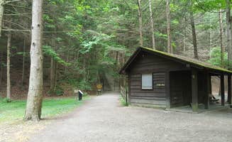 Michelle  C.'s photo of glamping accommodations at Robert H. Treman State Park Campground near Painted Post, NY