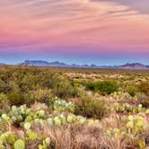 Review photo of Chisos Basin Campground — Big Bend National Park by Brian F., April 15, 2021