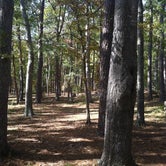 Review photo of Huntsville State Park Campground by Daniel L., April 16, 2021