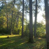 Review photo of Huntsville State Park Campground by Daniel L., April 16, 2021