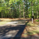 Review photo of Lake Lincoln State Park Campground by Johan S., April 16, 2021