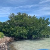 Review photo of Flamingo Campground — Everglades National Park by Roger F., April 16, 2021