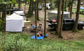 Emily B.'s photo at Holly River State Park Campground near French Creek, WV