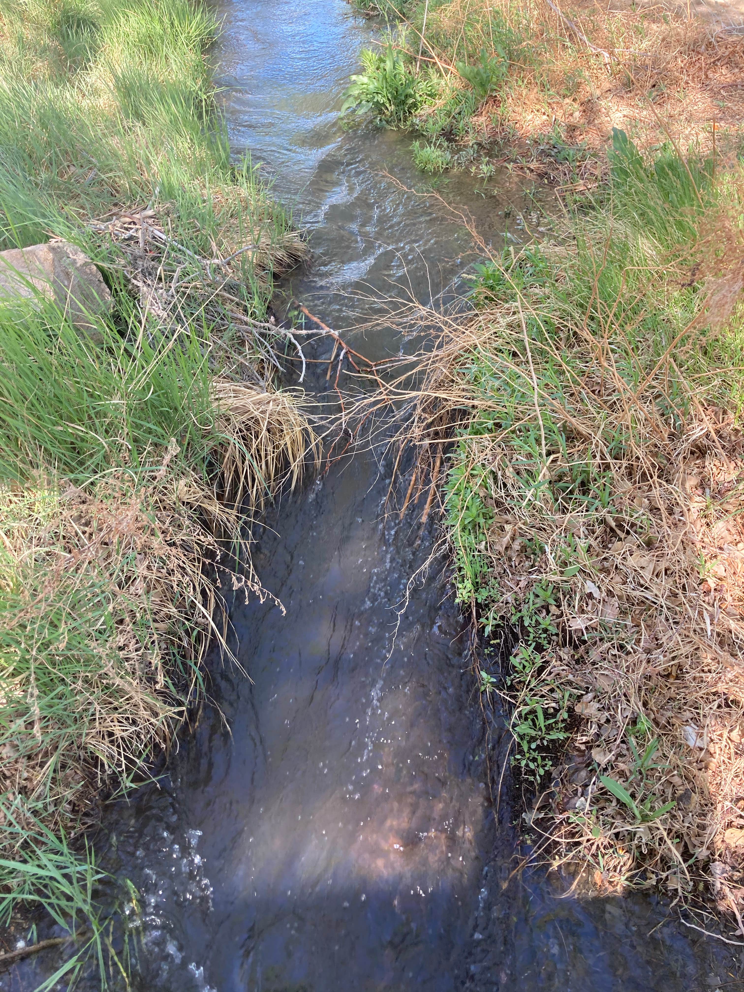 Camper-submitted photo at Portuguese Joe Campground near Keeler, CA