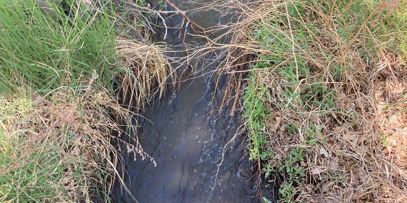 Camper submitted image from Portuguese Joe Campground