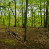 Review photo of Big Bend Trailhead Primitive Camping (Summit Metro Parks) by Shari  G., May 31, 2018