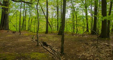 Big Bend Trailhead (Summit Metro Parks)