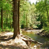 Review photo of Lazy Bend - TEMP CLOSED DUE TO FIRE DAMAGE by Julie P., May 31, 2018