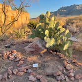 Review photo of Rockhound State Park Campground by Wanderfalds L., April 16, 2021