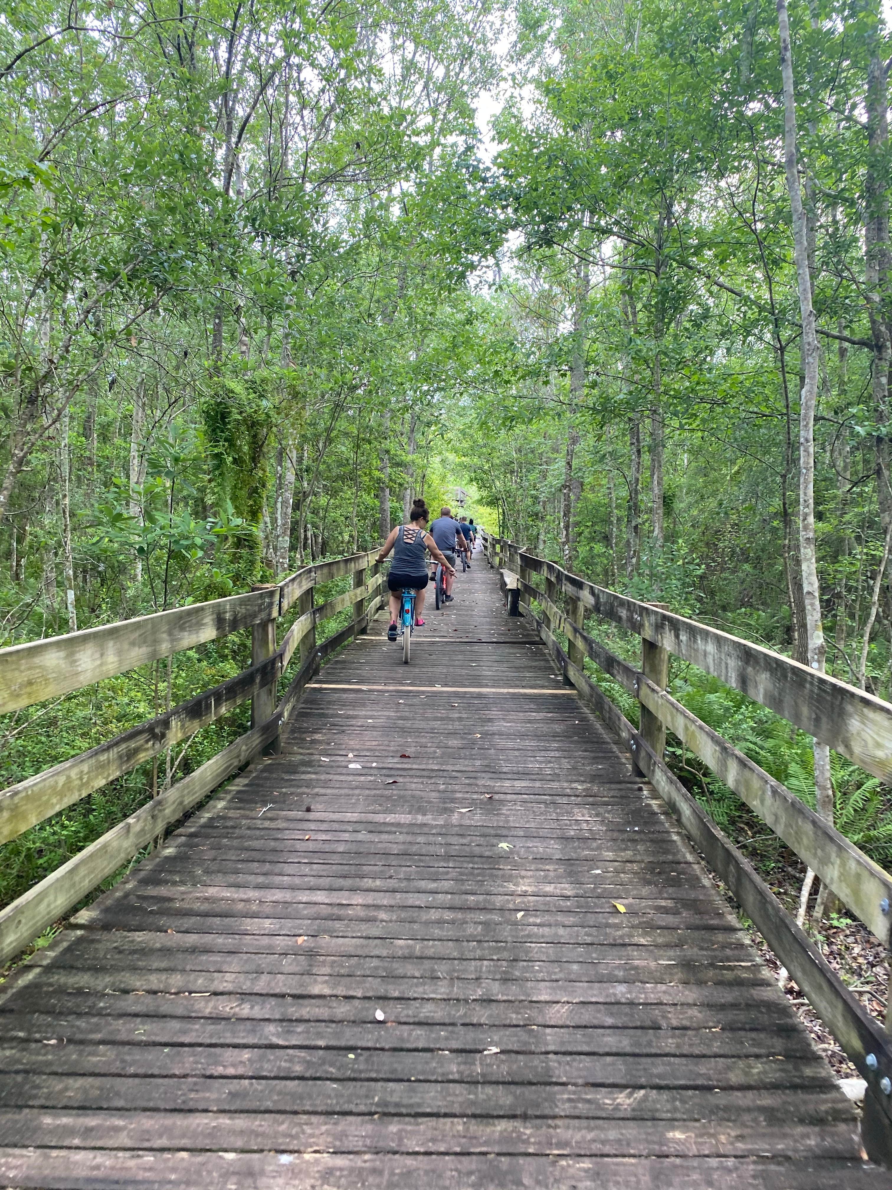 Camper submitted image from Hardee Lakes Park - 4