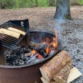 Review photo of Pohick Bay Campground by Robert P., April 16, 2021