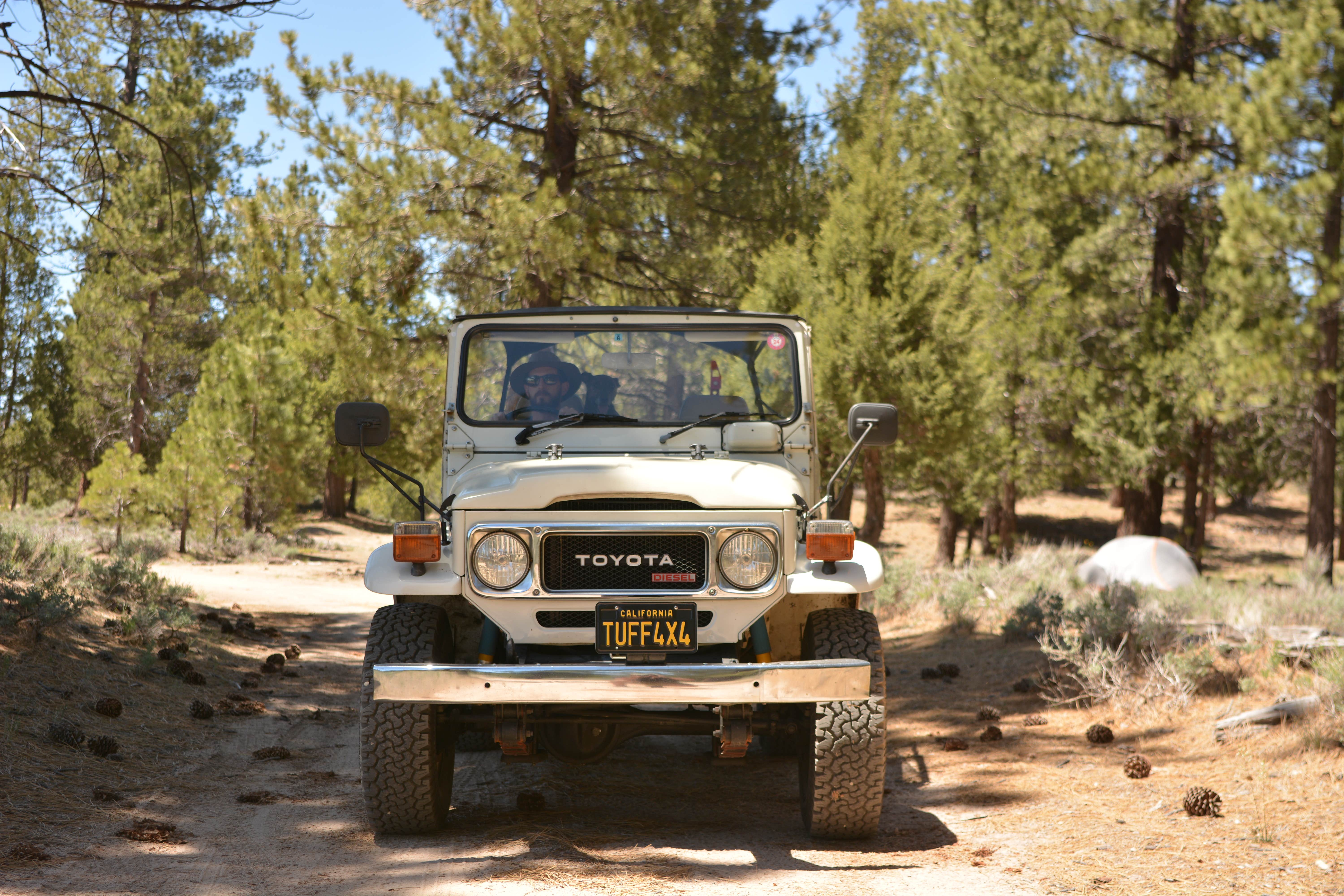 Camper submitted image from Holcomb Valley Ranch - 3