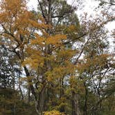 Review photo of Blue Hole Campground — Florida Caverns State Park by Brenda S., May 2, 2018