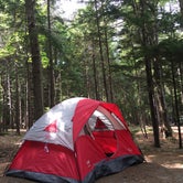 Review photo of Blackwoods Campground — Acadia National Park by Jess Y., April 16, 2021