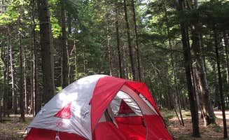 Jess Y.'s photo at Blackwoods Campground — Acadia National Park near Acadia National Park