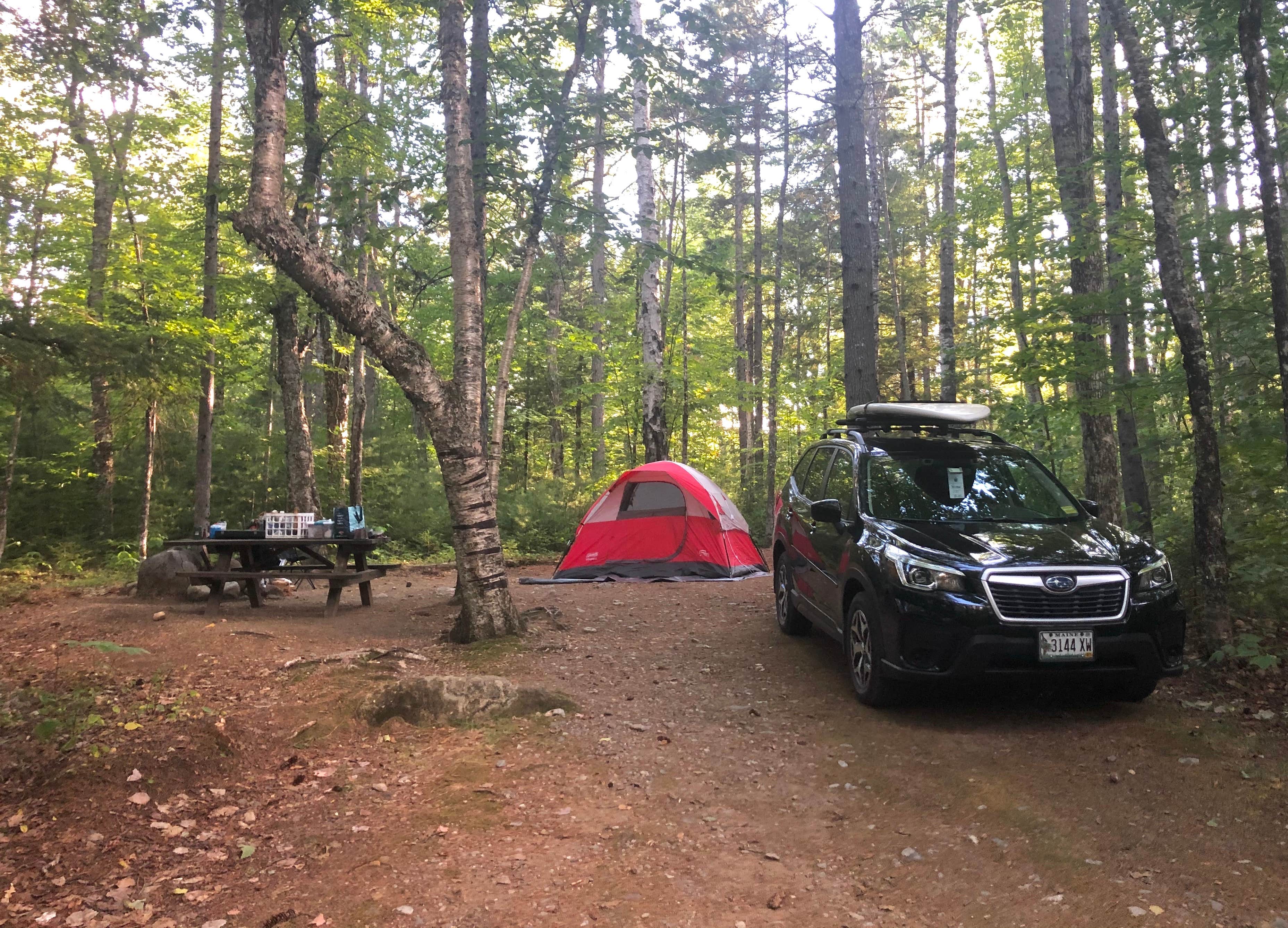 Jess Y.'s photo at Mount Blue State Park Campground near Andover, ME