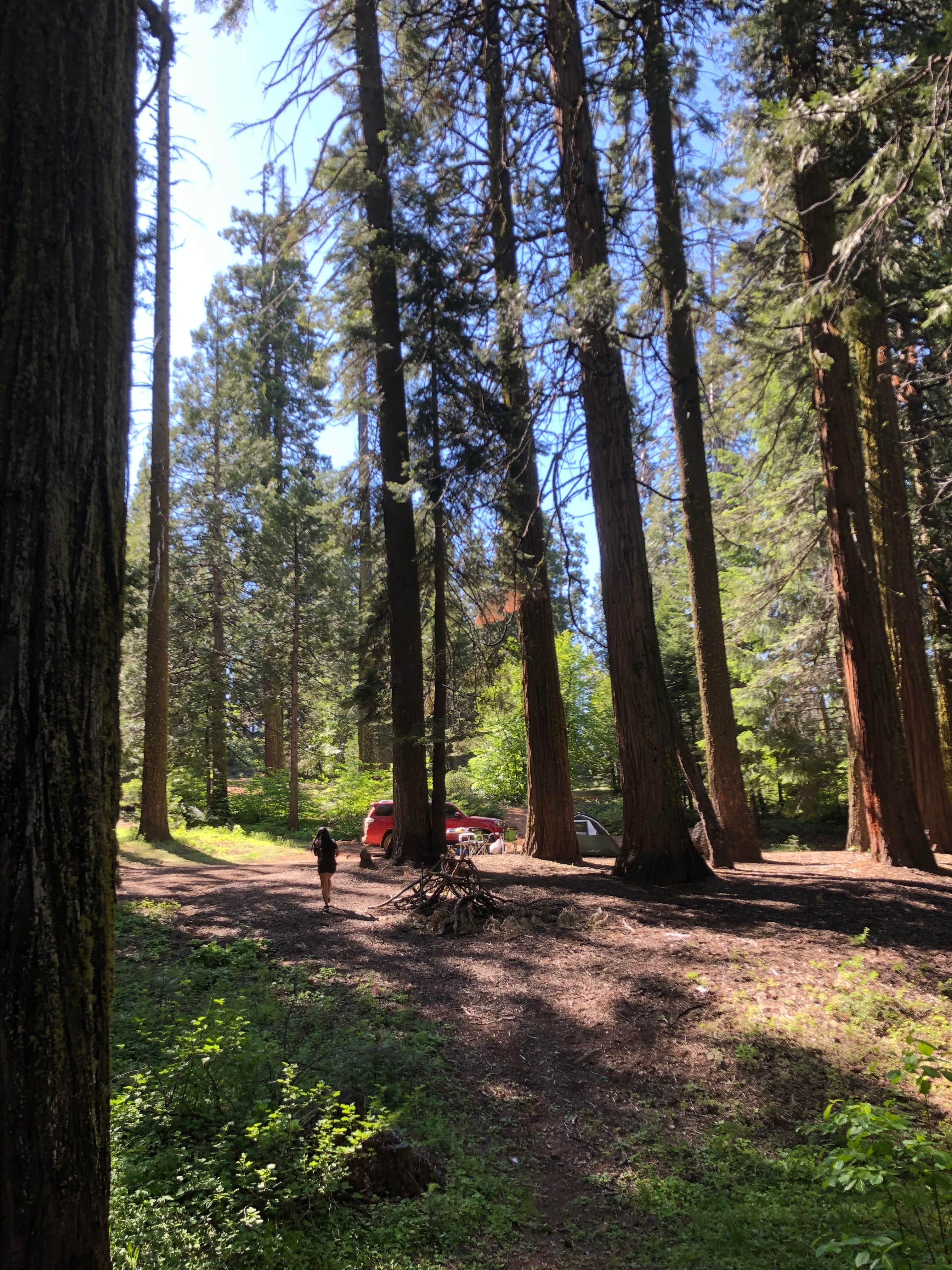 Camper submitted image from Sierra National Forest Summit Camp Campground - 4