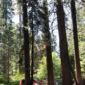 Review photo of Sierra National Forest Summit Camp Campground by Conrad G., April 16, 2021