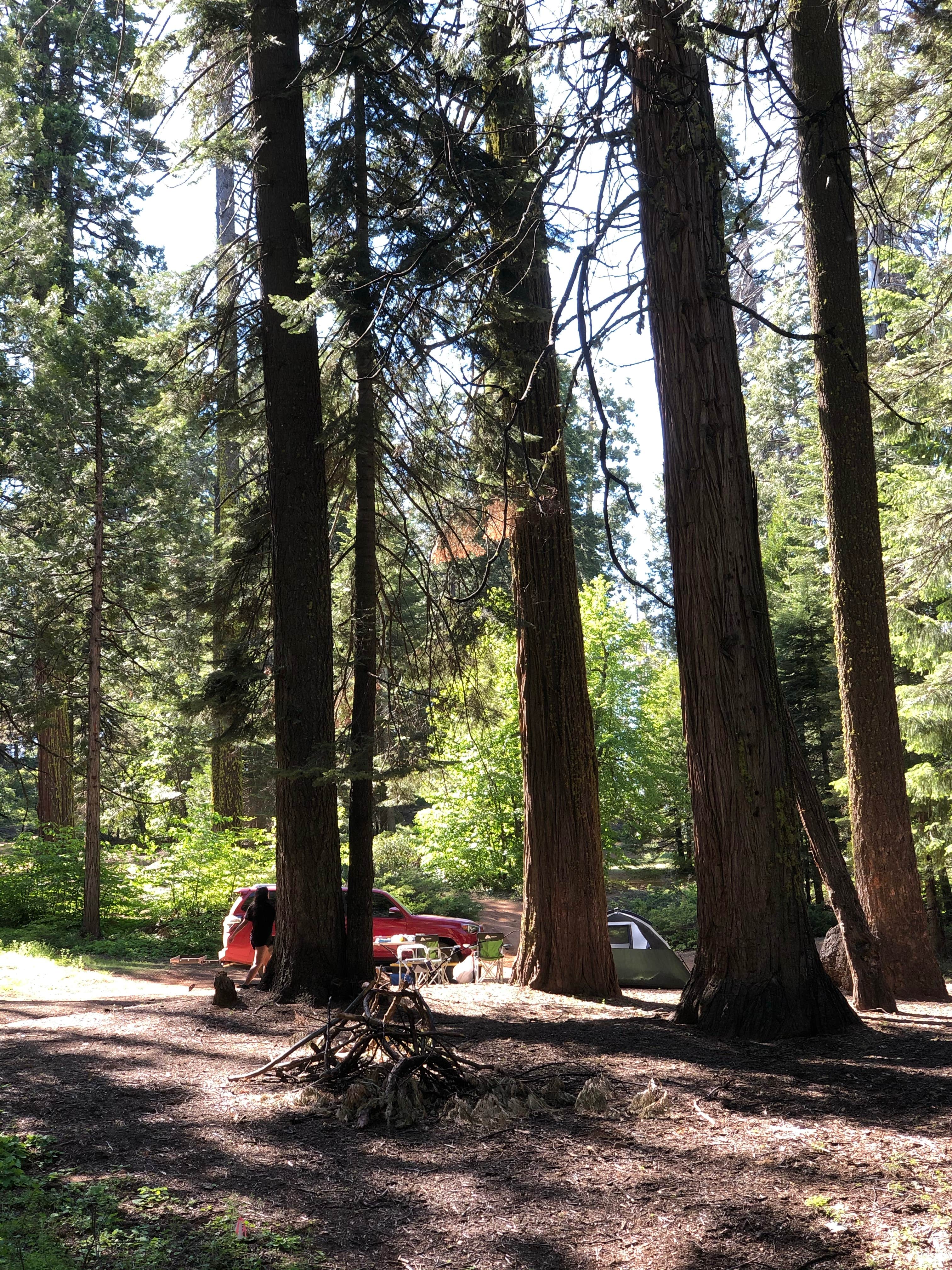 Camper submitted image from Sierra National Forest Summit Camp Campground - 2