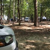 Review photo of Santee State Park--Lakeshore Campground by Lisa S., April 16, 2021