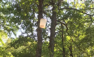 Lisa S.'s photo at Cypress View Campground — Santee State Park near Orangeburg, SC