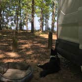 Review photo of Santee State Park--Lakeshore Campground by Lisa S., April 16, 2021