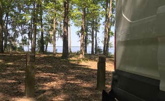 Lisa S.'s photo of camping with pets at Cypress View Campground — Santee State Park near Lynchburg, SC