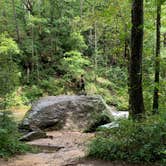 Review photo of Panther Creek Recreation Area Camping by Mitchell G., April 16, 2021