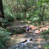 Review photo of Panther Creek Recreation Area Camping by Mitchell G., April 16, 2021