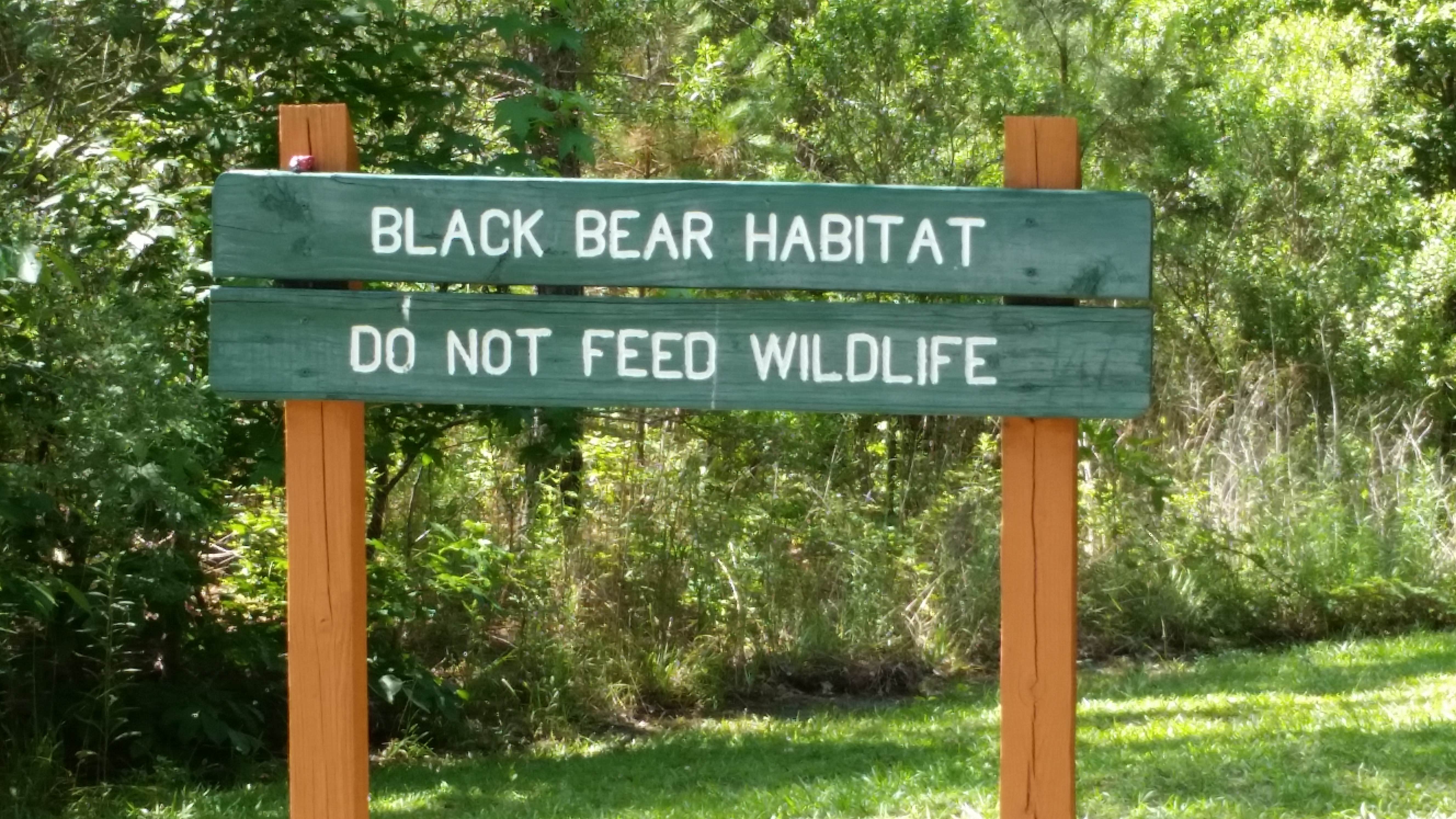 Camper-submitted photo at Poverty Point Reservoir State Park Campground in Louisiana