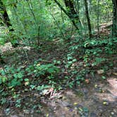 Review photo of Panther Creek Recreation Area Camping by Mitchell G., April 16, 2021