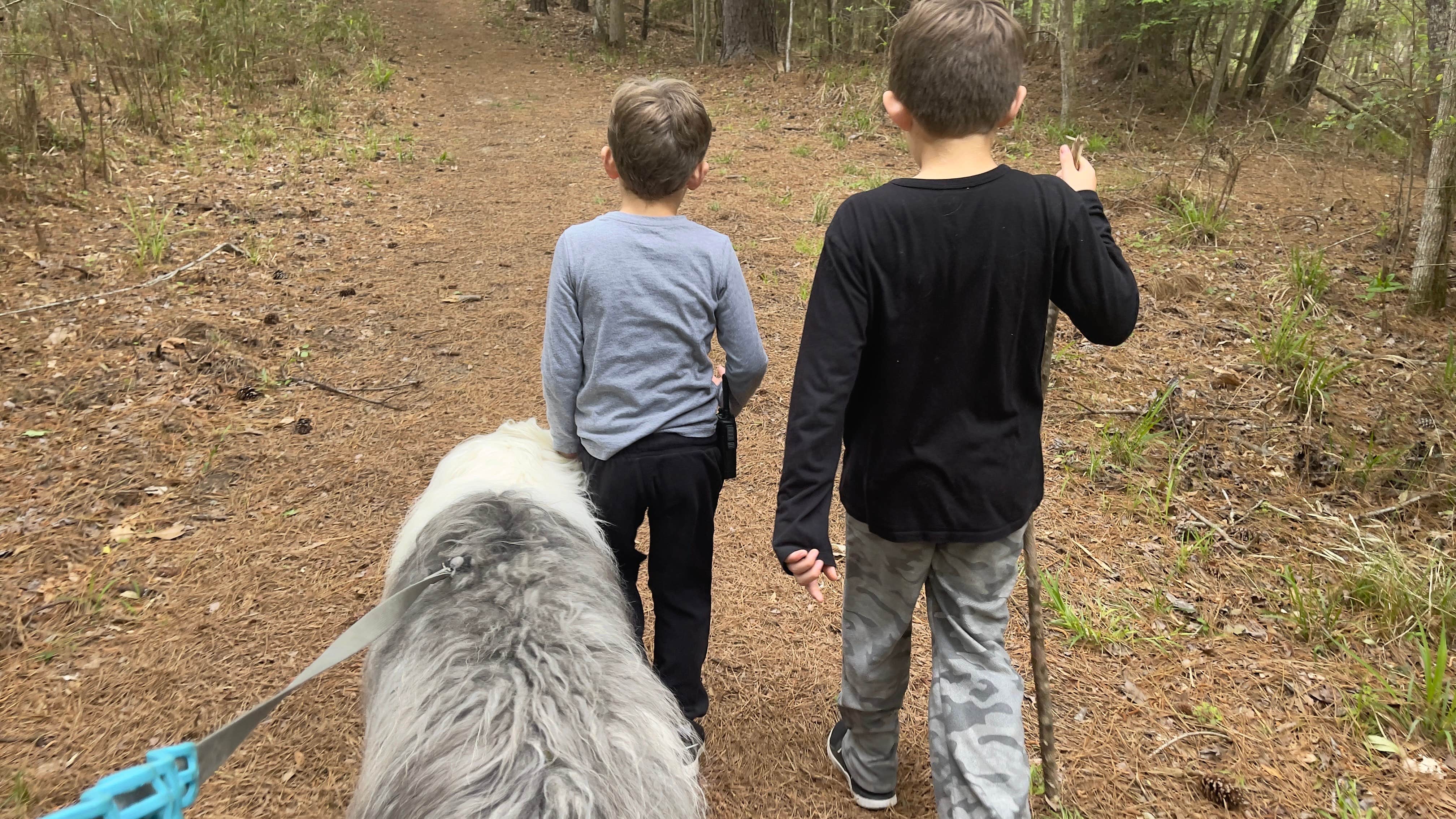 Daniel L.'s photo of camping with pets at Martin Dies, Jr. State Park Campground near San Augustine, TX