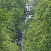 Review photo of Amicalola Falls State Park Camping by Mitchell G., April 16, 2021