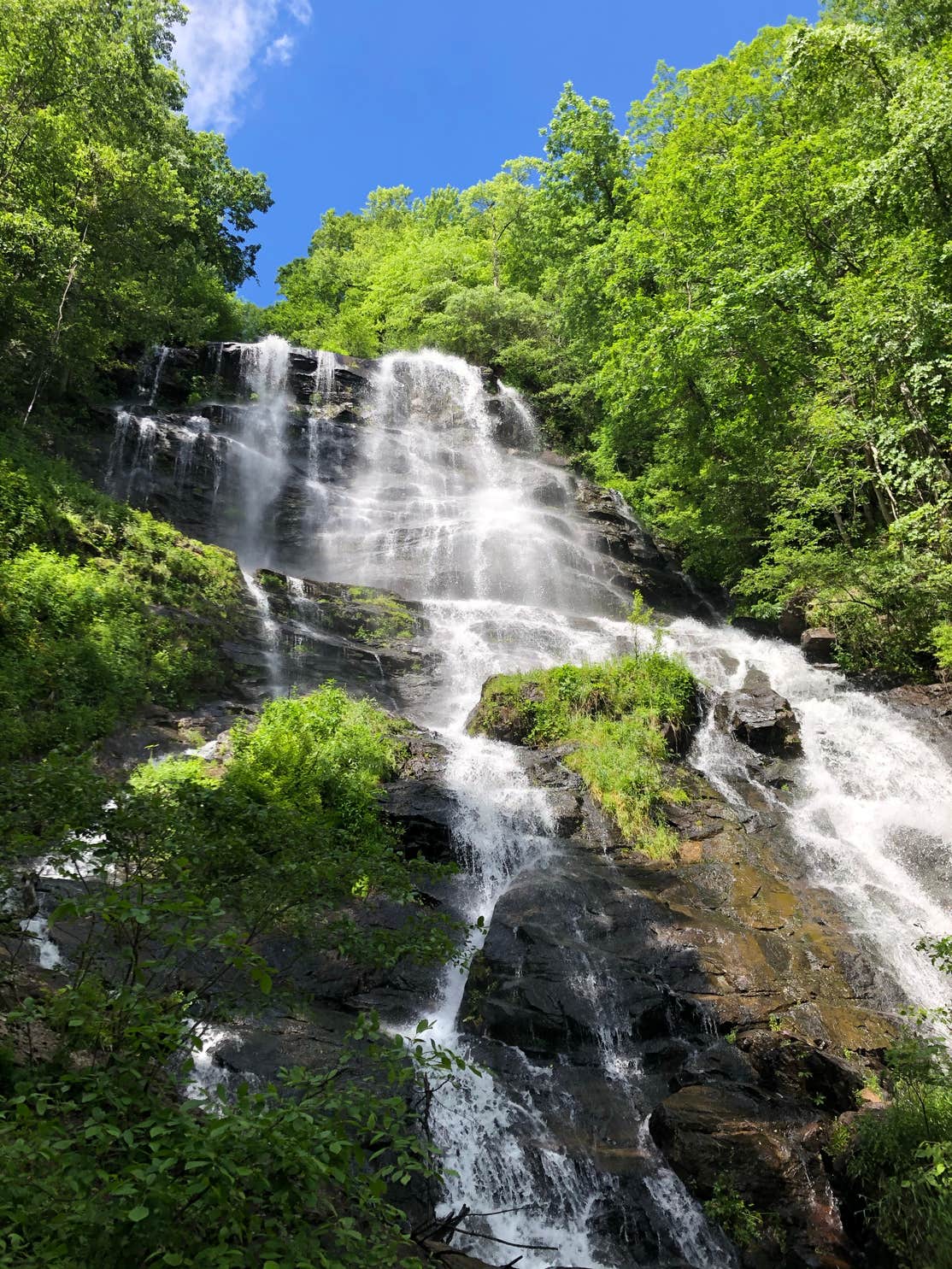 Amicalola Falls State Park Camping | The Dyrt