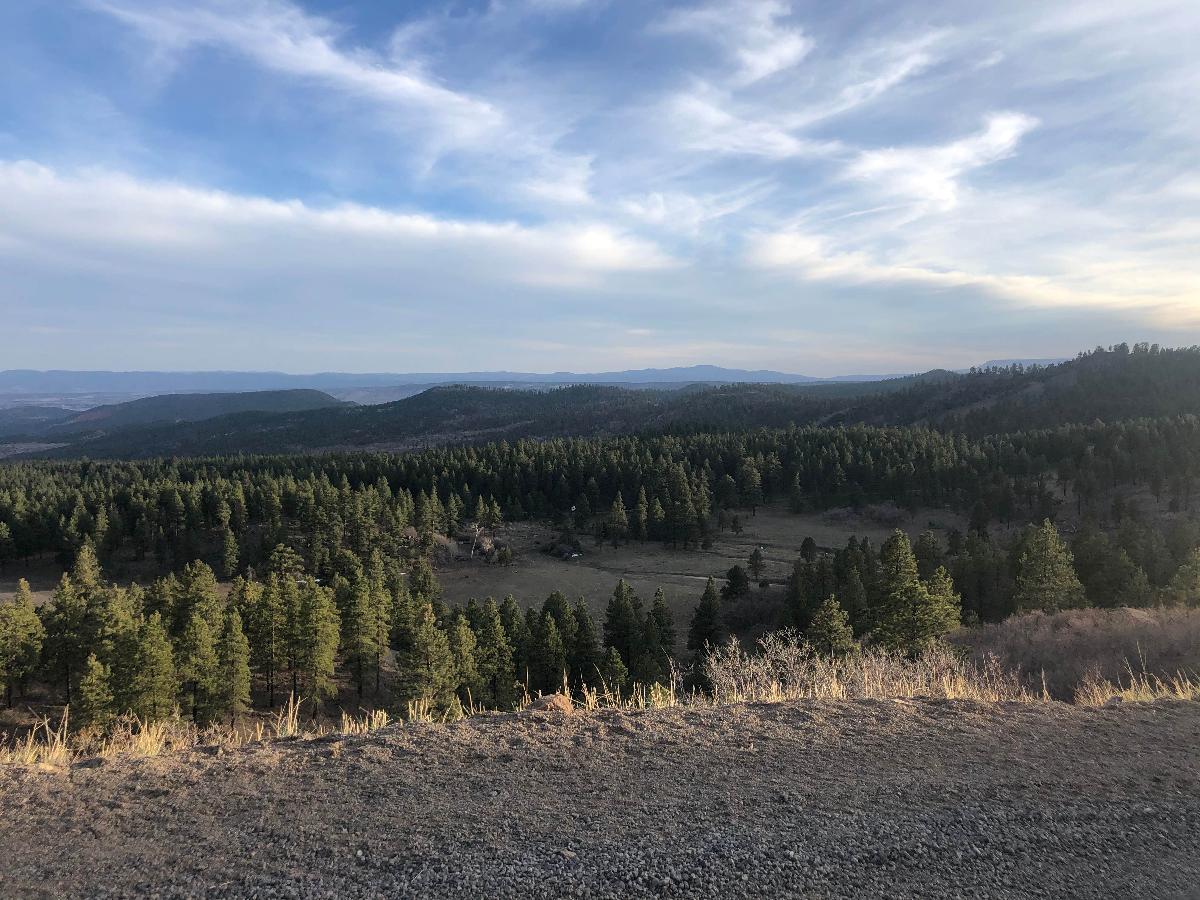 Camping near South Hell's Backbone Road: Dispersed at Hell's Backbone, Boulder, Utah