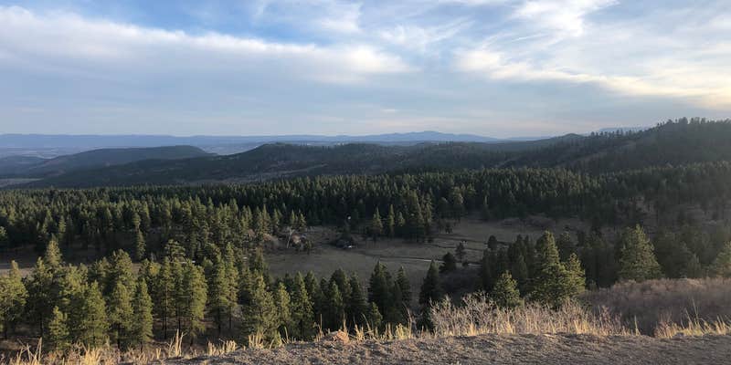 Camper submitted image from Dispersed at Hell's Backbone