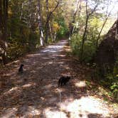 Review photo of Cuyahoga Valley National Park - CAMPING NO LONGER OFFERED by Shelly S., July 14, 2016