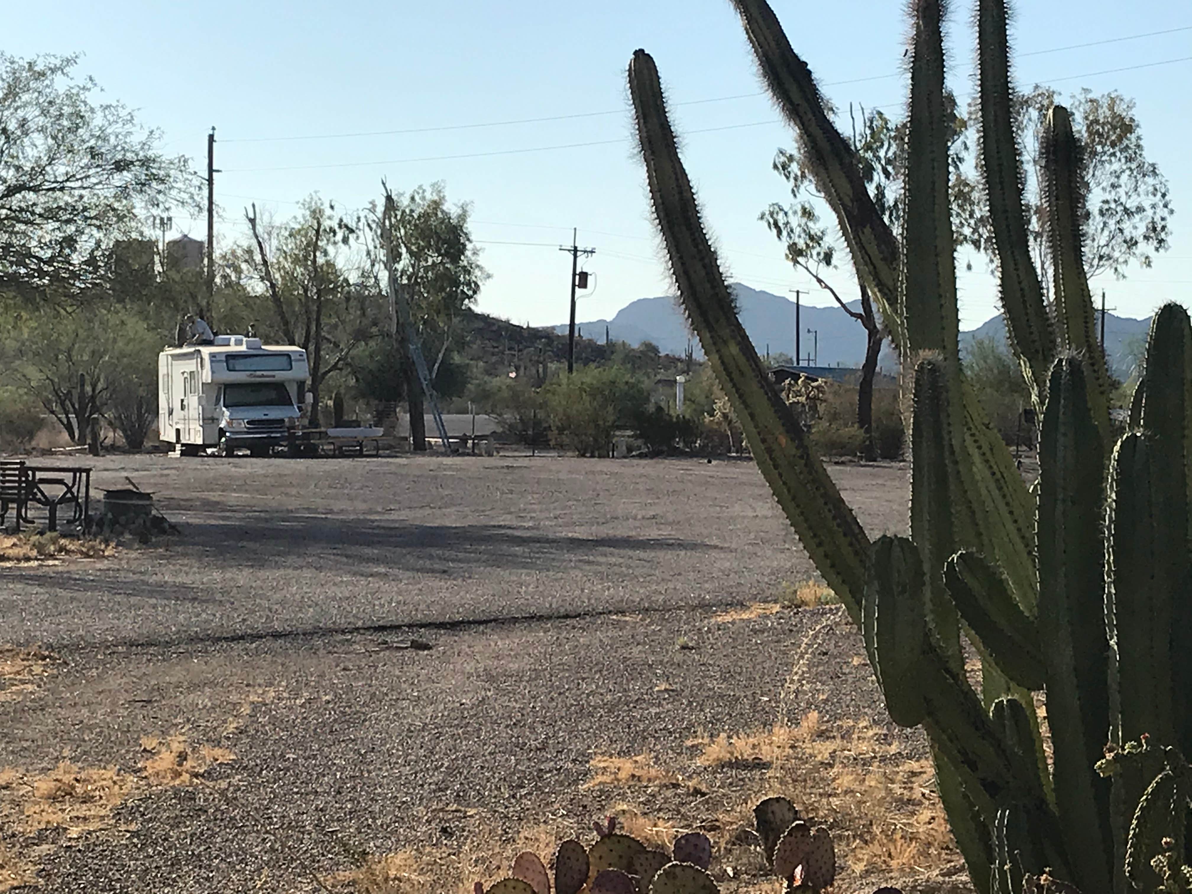 Camper submitted image from Sonoran Skies Campground - 4